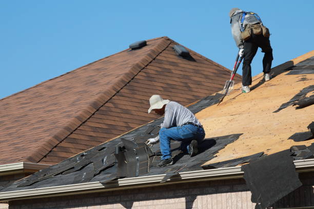 Best Skylight Installation and Repair  in Margaret, AL